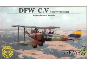 DFW C.V early