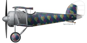 [A207] Kondor D.6
