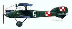 [A52] Albatros J1