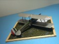caproni1.jpg