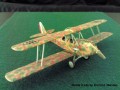 Caproni 100 IF Asso 80R Military A22.jpg