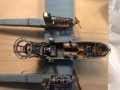 c21zd2.jpg