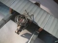 c21zd5.jpg