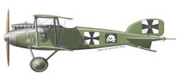[A57] Albatros DI