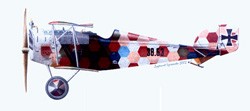 [A59] Aviatik-Berg D-I series 38