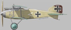 [A65] Albatros D-II late version