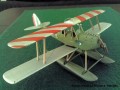 Caproni 100 IF Asso 80R Military Float A126.jpg