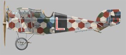 [A61] Aviatik-Berg D-I series 115