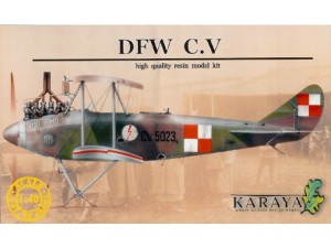 DFW C.V Polish AF