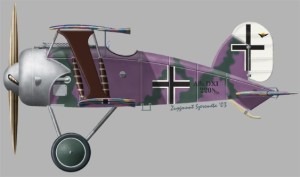 [A90] Albatros DXI First prototype