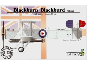 Blackburn Blackburd late version