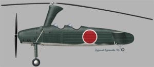 [A162] Kayaba Ka-1