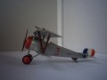 nie17b.jpg